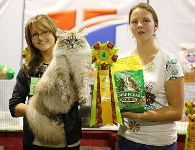   20-21  2014 WCF- 2-95-169A2313 copy.jpg